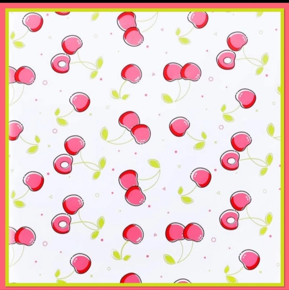 15- Cherry (6 × 9) Poly Mailer Shipping Bags 🍒